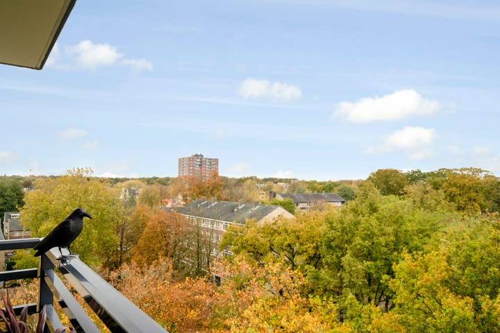 Foto 31 van Vanekerstraat 215