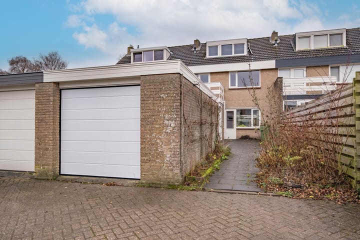 Foto 5 van de Tolve 11