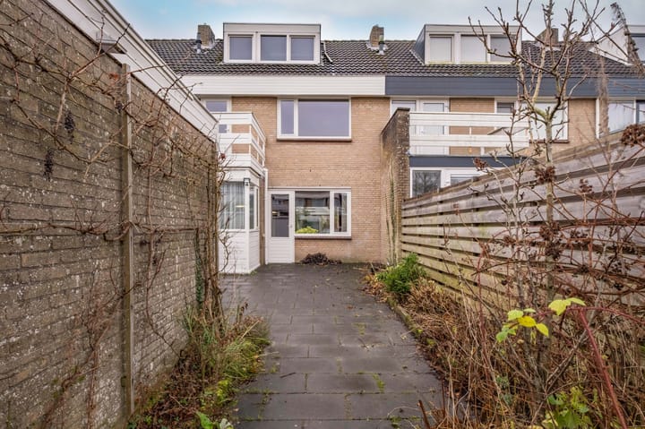 Foto 38 van de Tolve 11