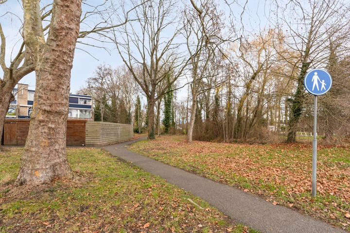 Foto 45 van Valckeslotlaan 11