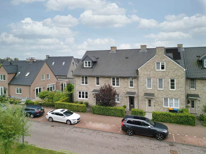 Zilverschoon 8 main image