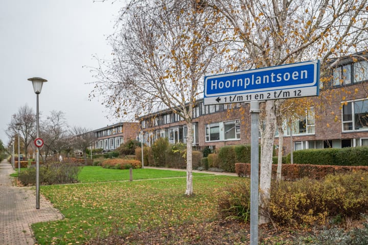 Photo 38 of Hoornplantsoen 14