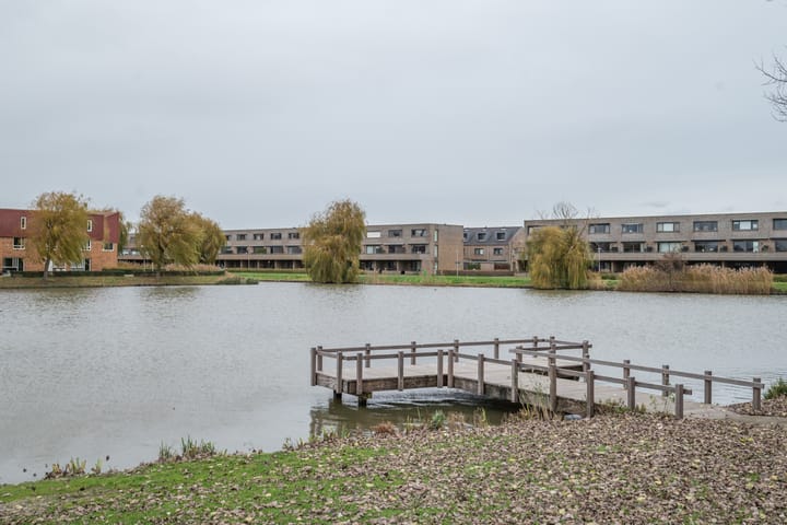 Photo 41 of Hoornplantsoen 14