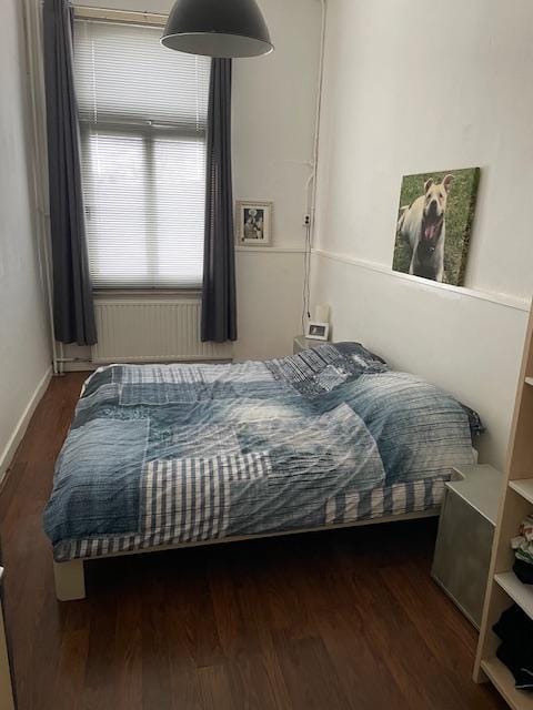 Foto 8 van Nieuweweg 32-C