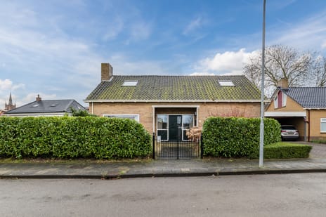 undefined main image