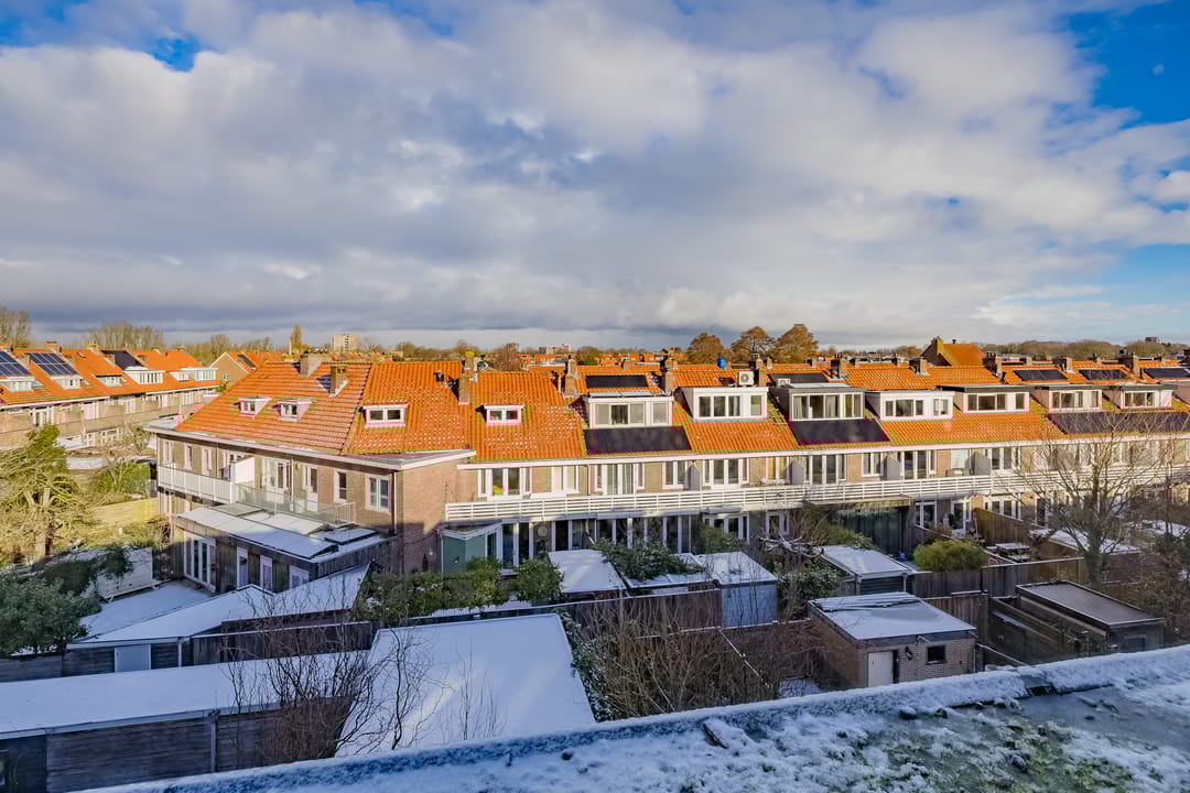 Photo 47 of Stuyvesantstraat 100