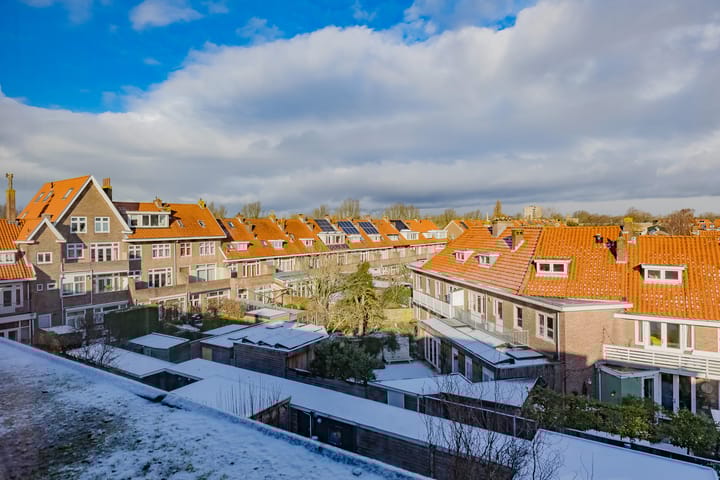 Photo 48 of Stuyvesantstraat 100