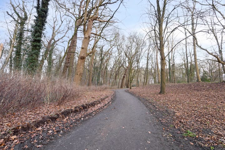 Foto 41 van Hereweg 97-17