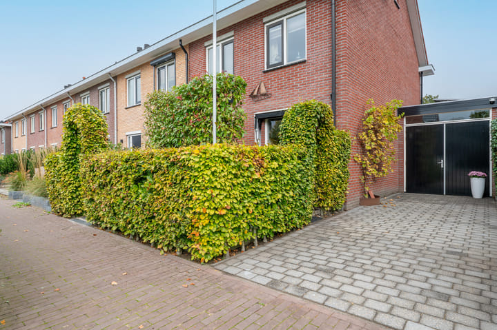 Foto 49 van Mennestraat 54