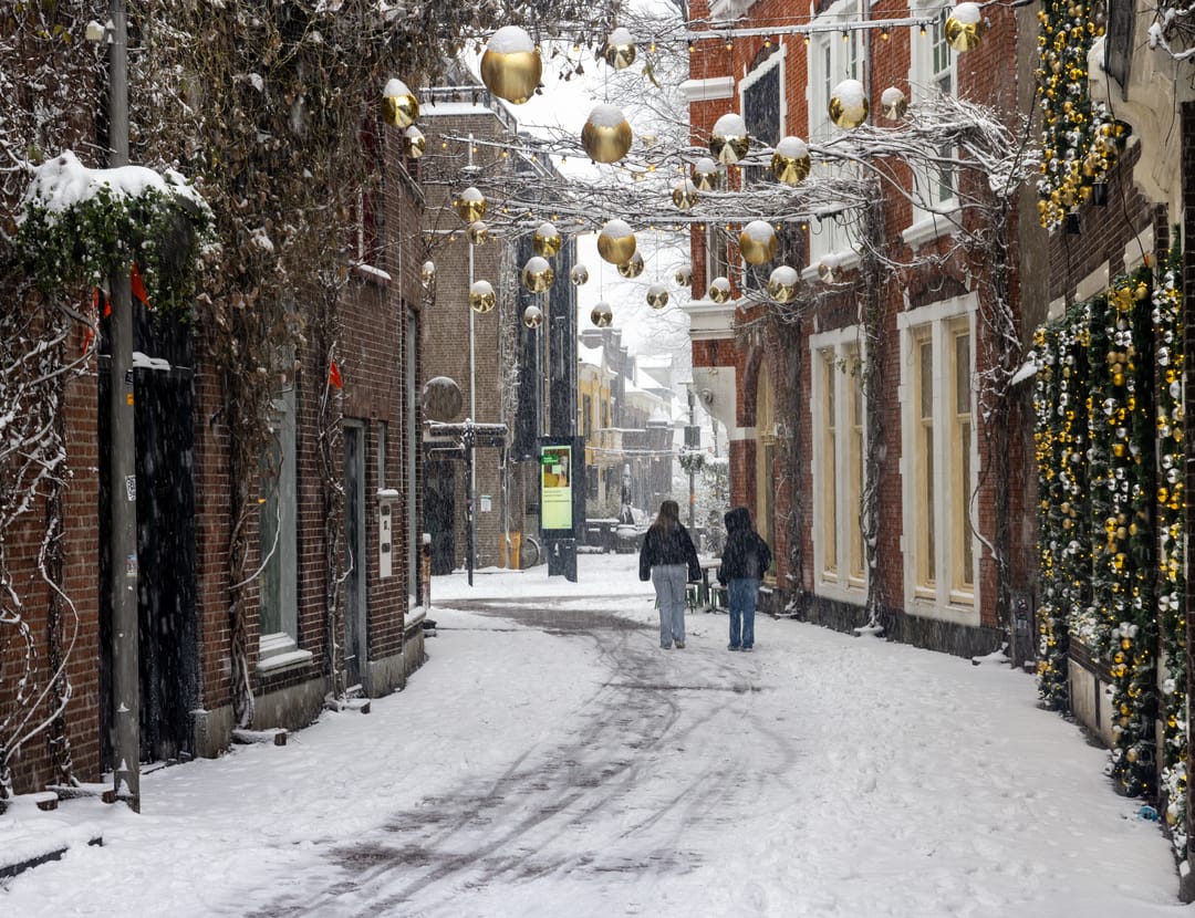 Foto 46 van Paul Krugerstraat 14