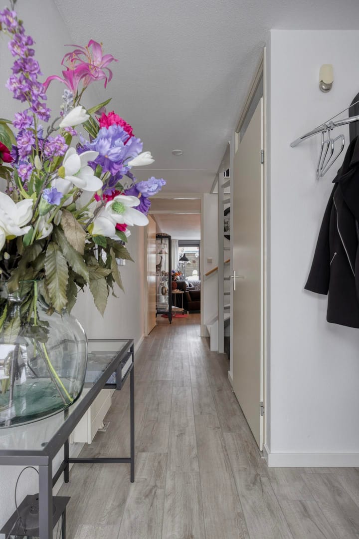 Foto 6 van Heivlinder 24