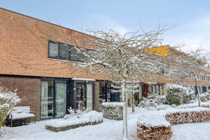 Foto 3 van Heivlinder 24