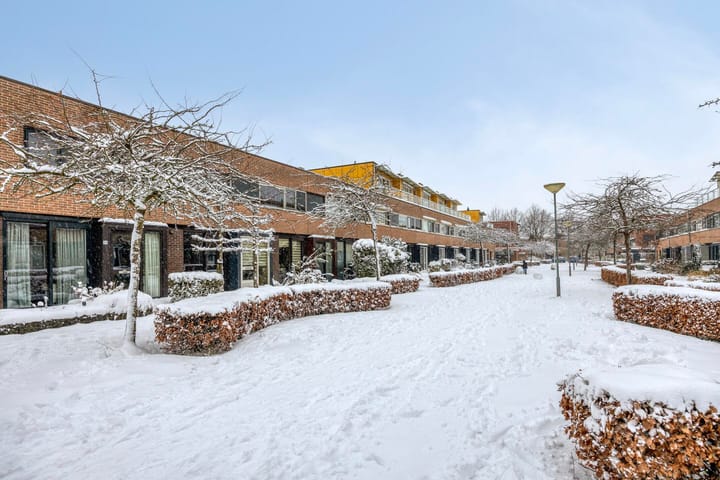 Foto 4 van Heivlinder 24