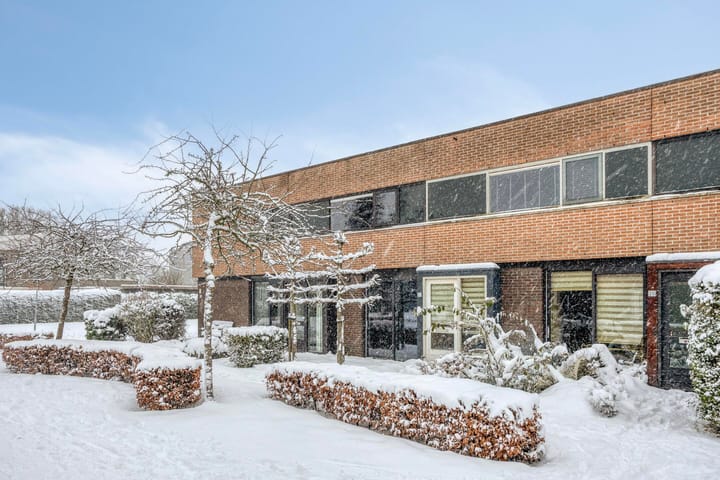 Foto 2 van Heivlinder 24