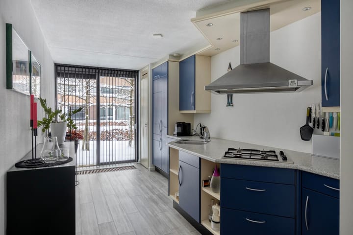 Foto 11 van Heivlinder 24