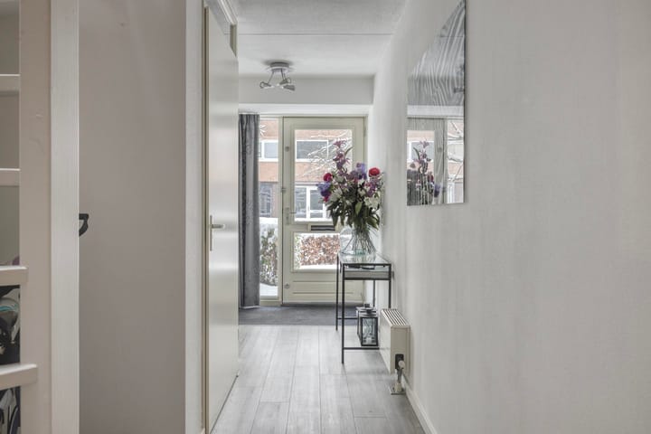 Foto 5 van Heivlinder 24