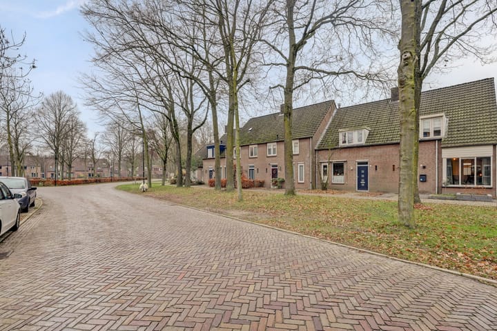 Foto 40 van Schaapskuil 3