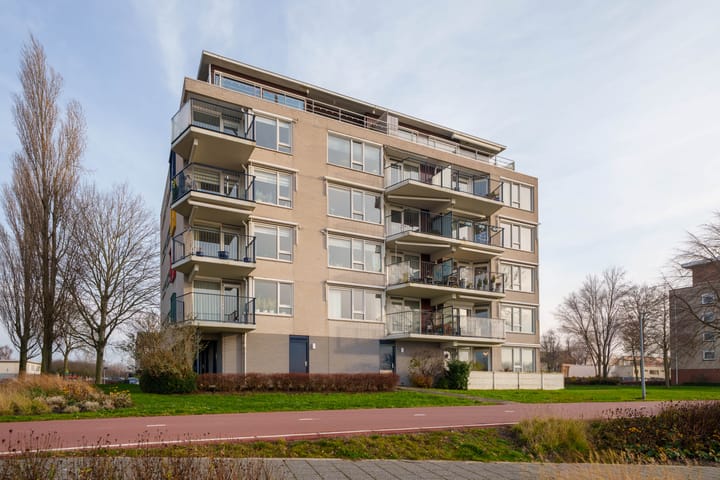 Foto 41 van Fellinilaan 358