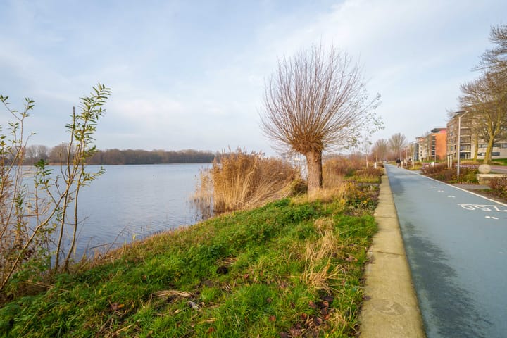 Foto 46 van Fellinilaan 358