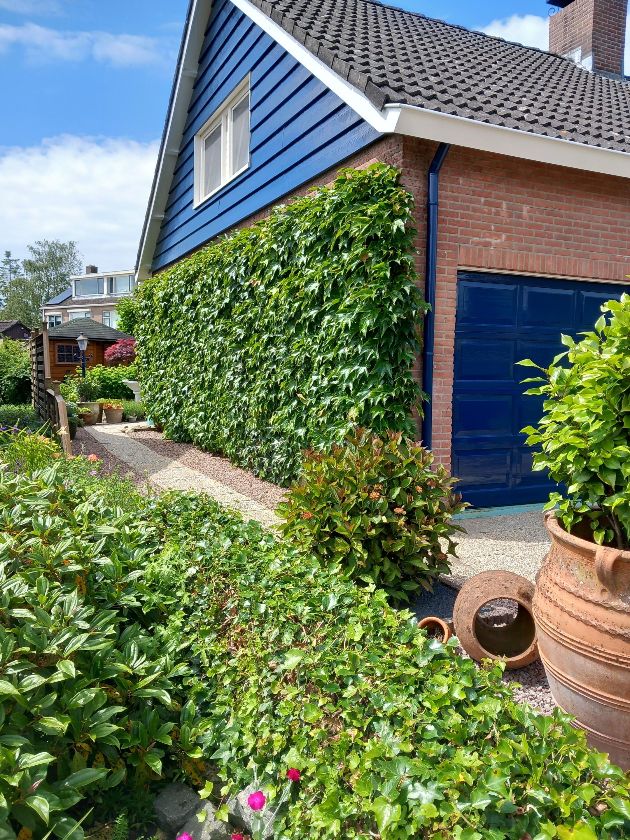 Foto 33 van Burgemeester Prümersstraat 19