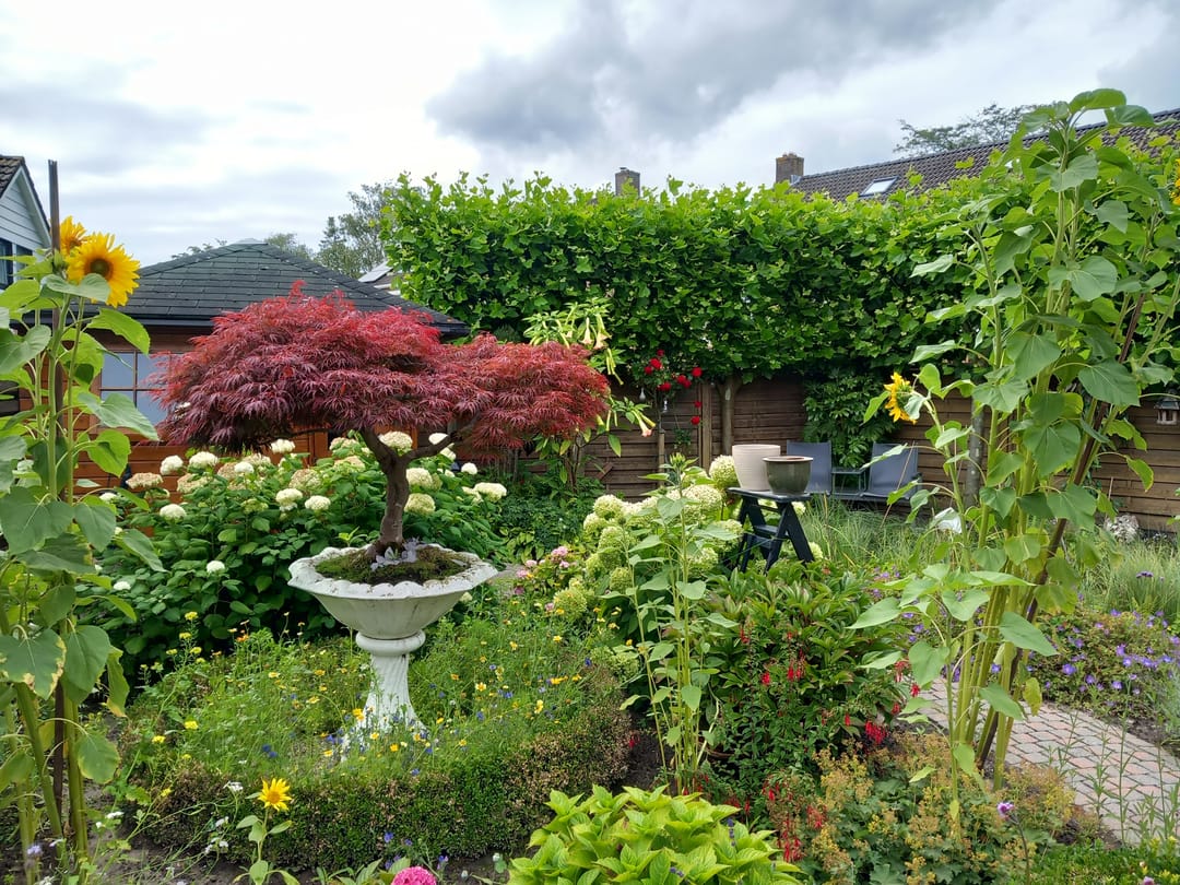 Foto 41 van Burgemeester Prümersstraat 19