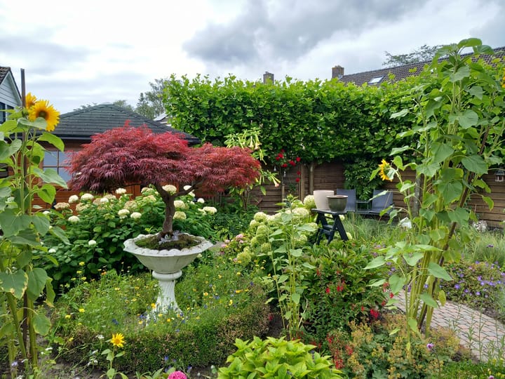 Foto 41 van Burgemeester Prümersstraat 19