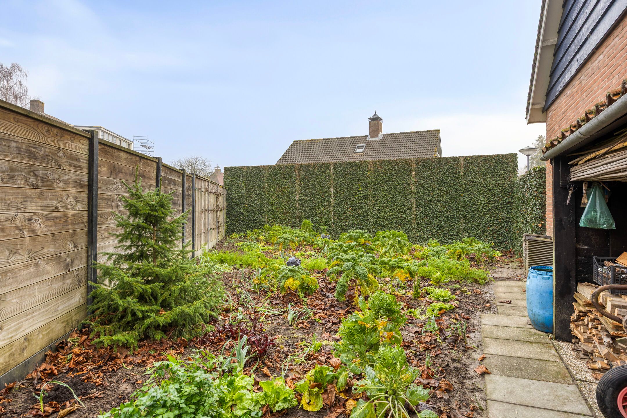 Foto 42 van Burgemeester Prümersstraat 19