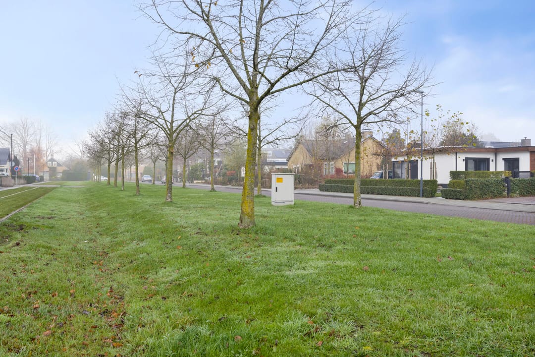 Foto 43 van Burgemeester Prümersstraat 19