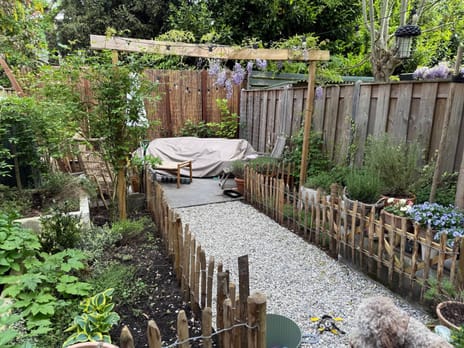 Pieter Nieuwlandstraat 12 tertiary image