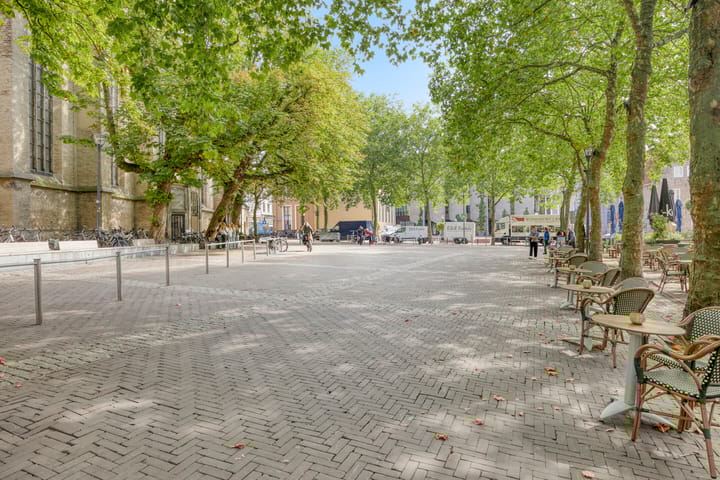 Photo 31 of Papendwarsstraat 10