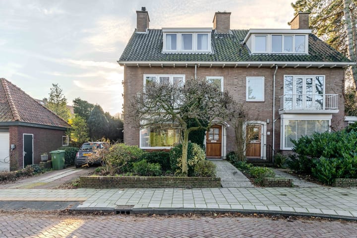 Foto 4 van Van Boetzelaerlaan 1