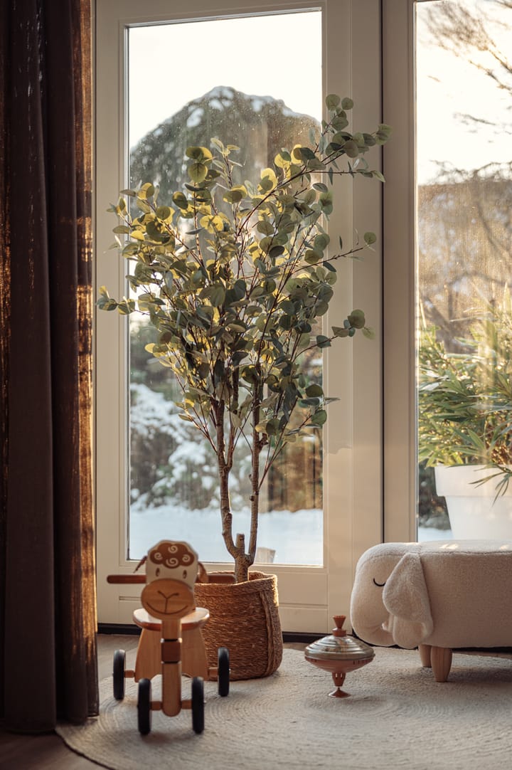 Foto 84 van Schoolstraat 59