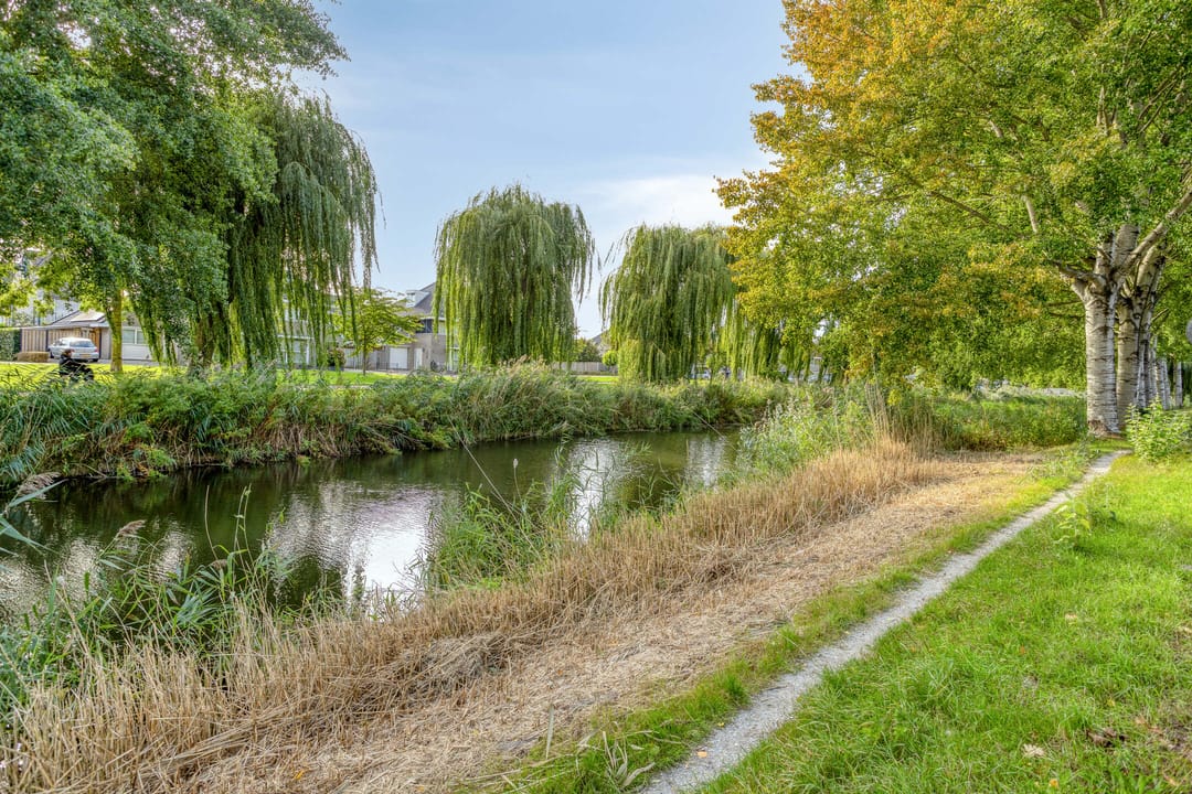 Photo 37 of Boekenrodestraat 8