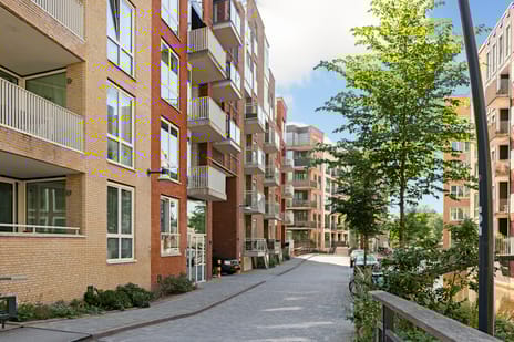 undefined main image