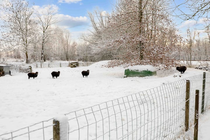 Foto 41 van Bosweg 8