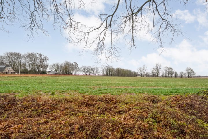 Foto 58 van Korhoen 25