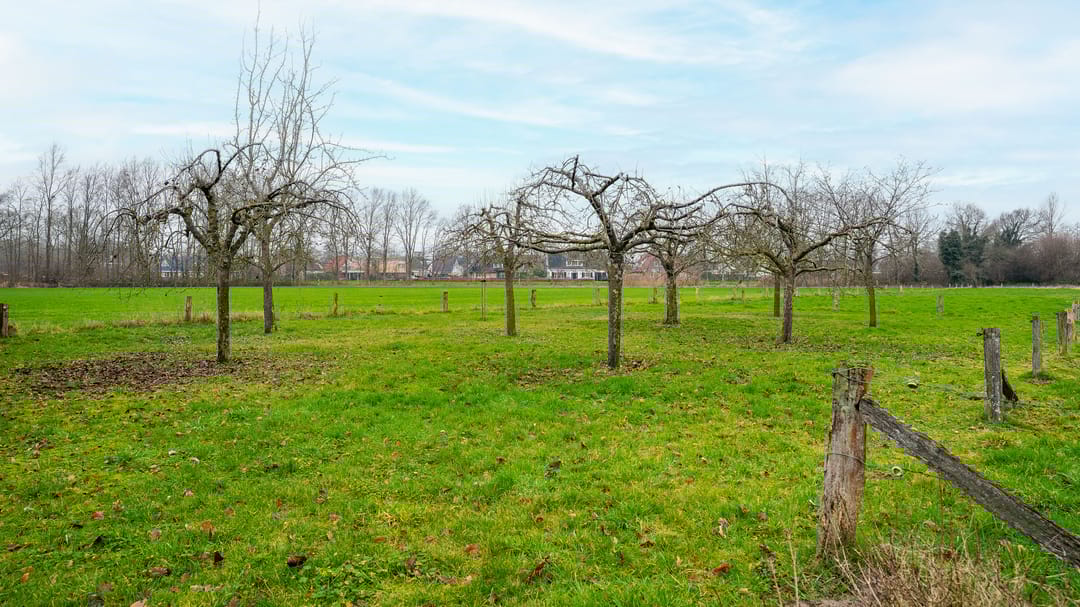 Foto 41 van Sluiskade Noordzijde 200