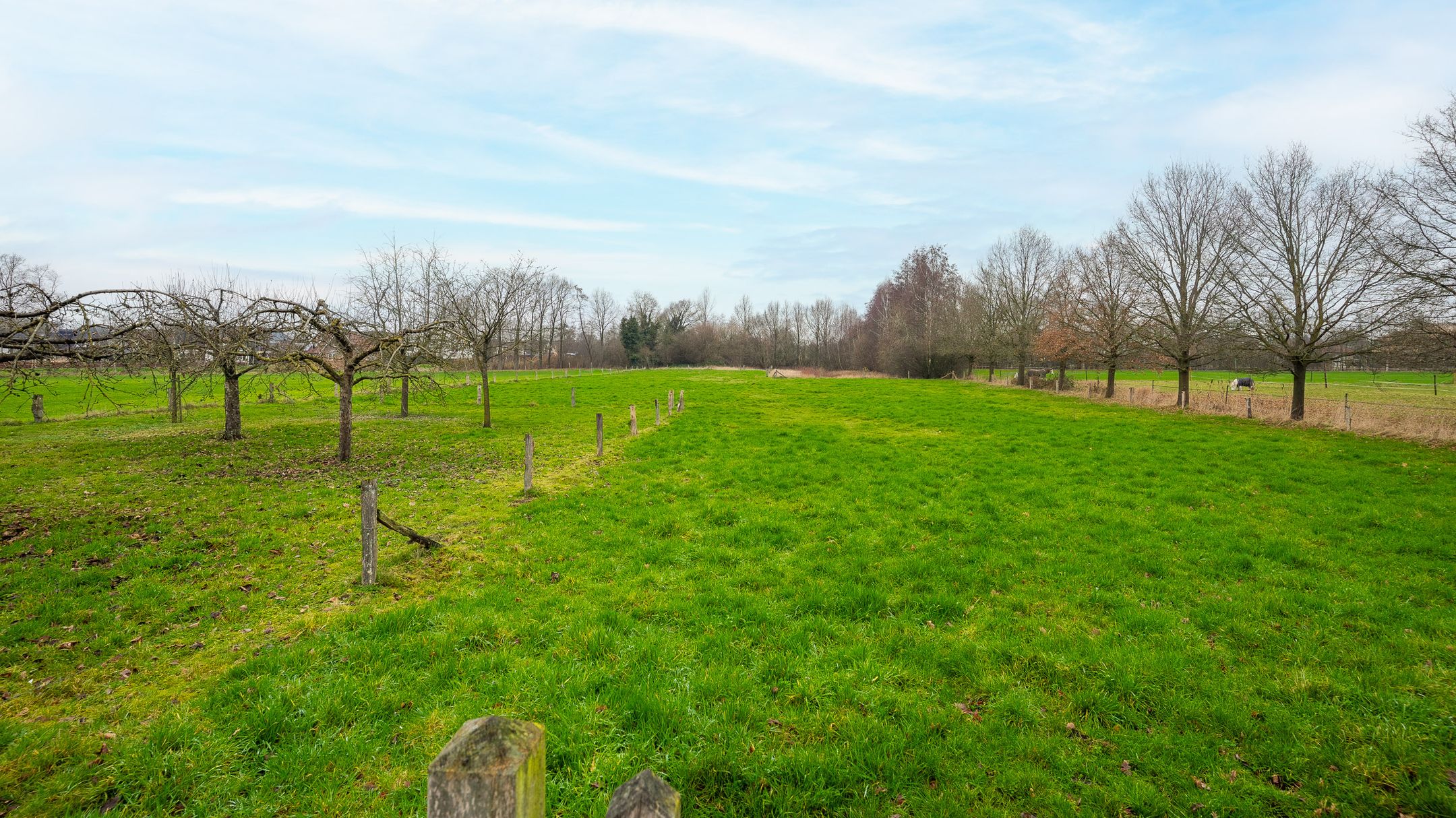Foto 42 van Sluiskade Noordzijde 200