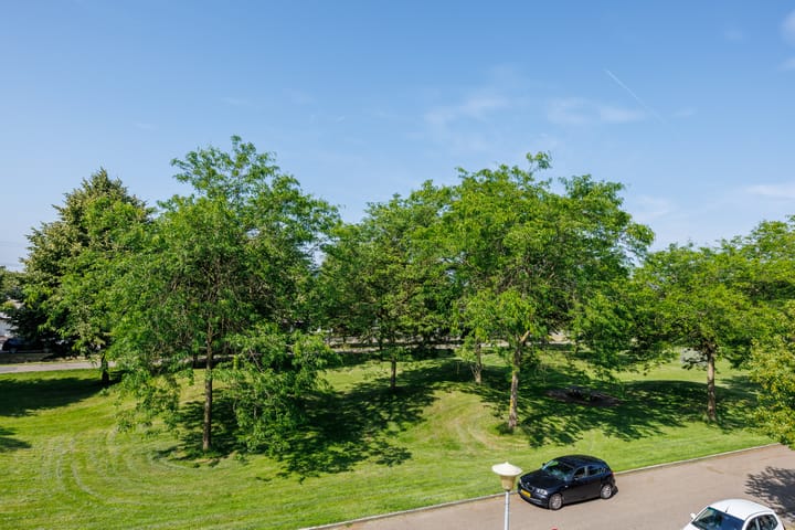 Foto 38 van Diemewei 4806