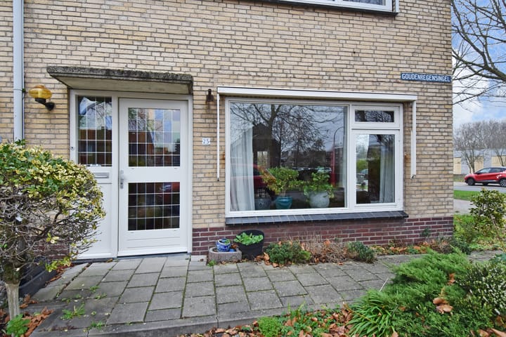 Foto 24 van Goudenregensingel 25