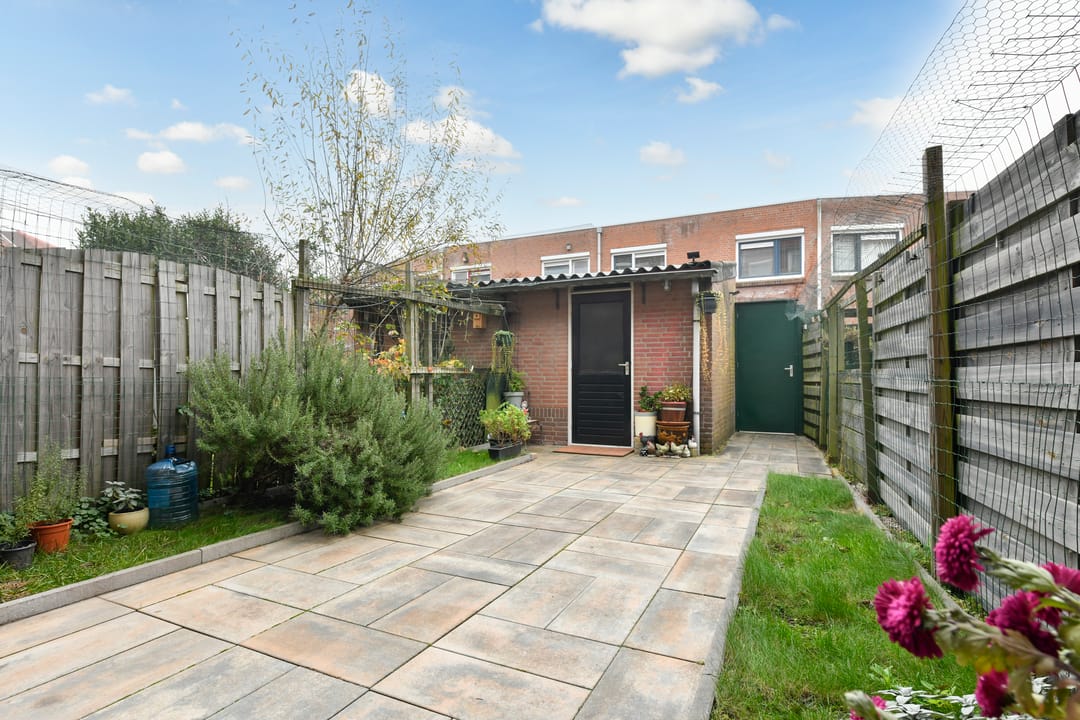 Photo 8 of Bomenrijk 29