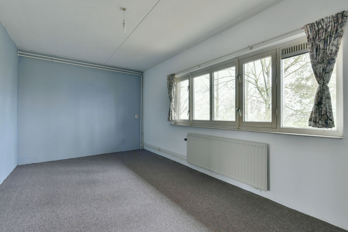 Photo 10 of Bomenrijk 29