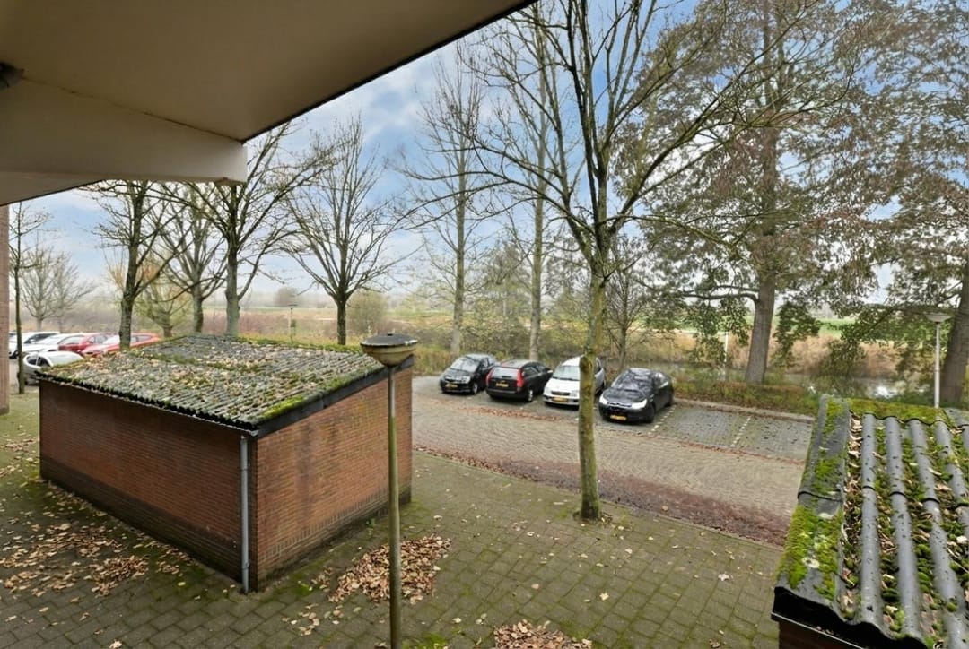 Photo 11 of Bomenrijk 29