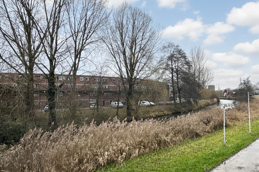 Photo 17 of Bomenrijk 29