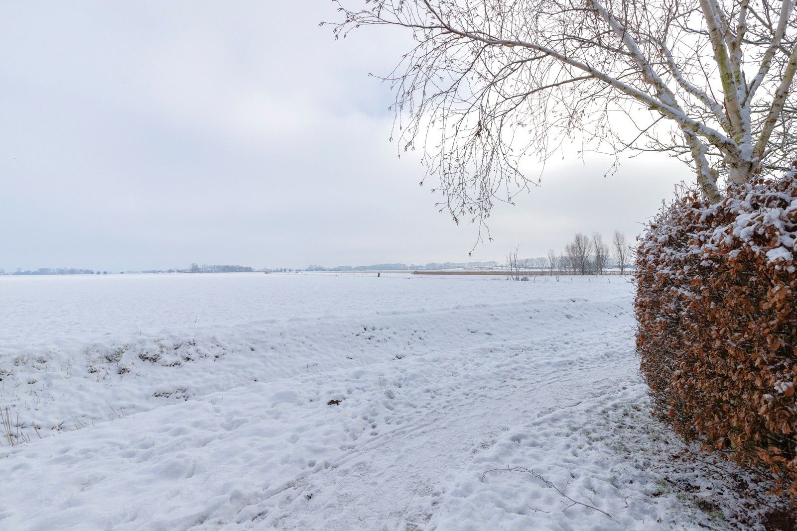 Foto 3 van Prof van Giffenweg 3