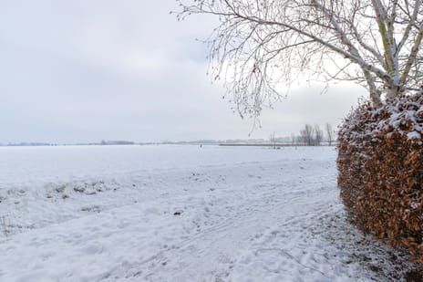 Prof van Giffenweg 3 tertiary image