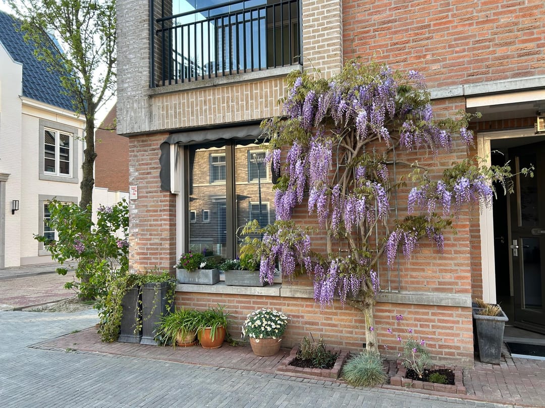 Foto 7 van Statenlaan 108