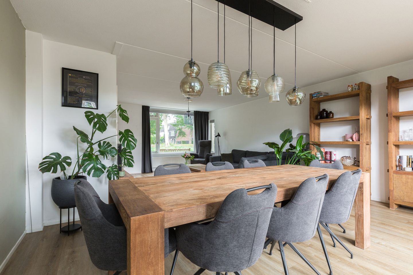 Foto 14 van Sterremos 14