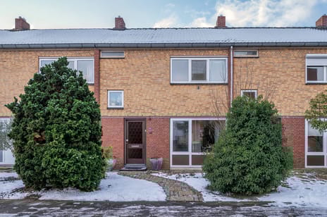 Flamingostraat thumbnail