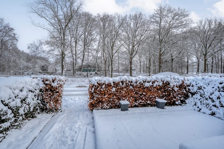 Foto 12 van Barnsteen 11